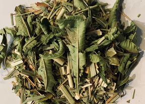 Charlemagnes Herbal Garden Organic 1288