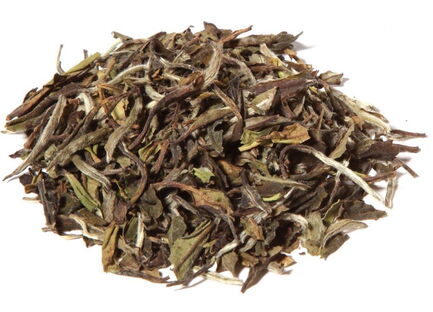 China Pai Mu Tan Bio 531 im Tee Shop