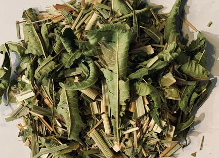 Charlemagnes Herbal Garden Organic 1288