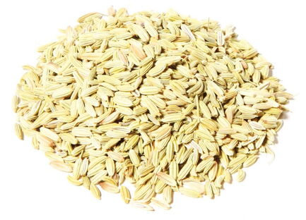 Fennel Tea Organic 1236