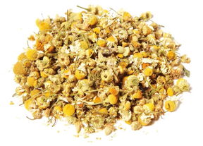 Camomile Organic 1129