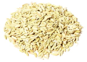 Fennel Tea Organic 1236